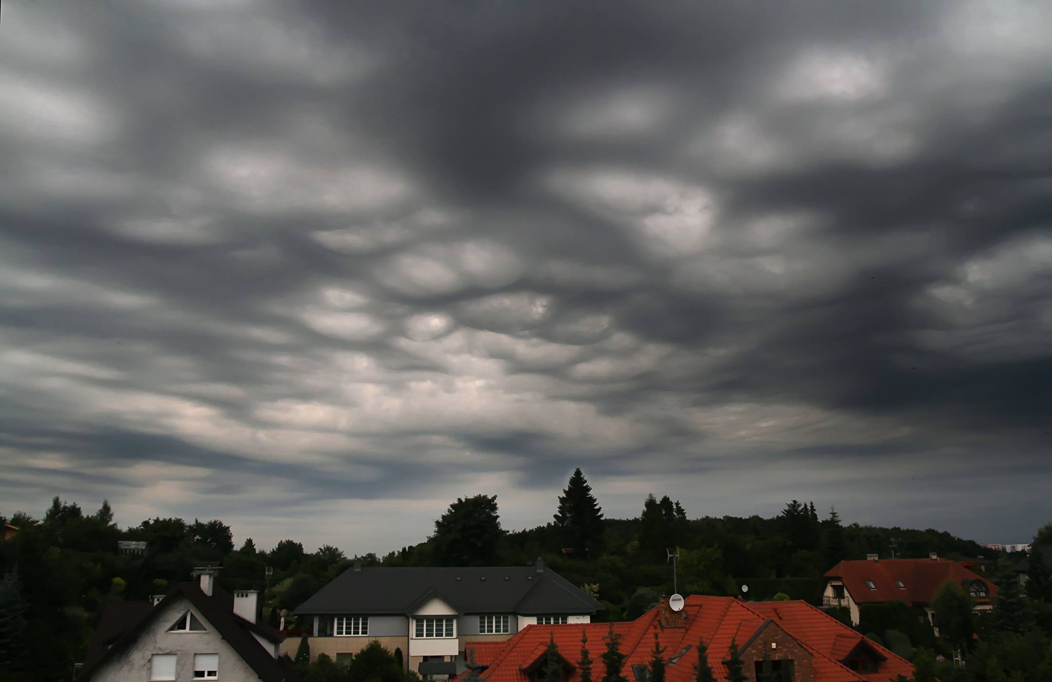 fot. Andrzej Szuksztul