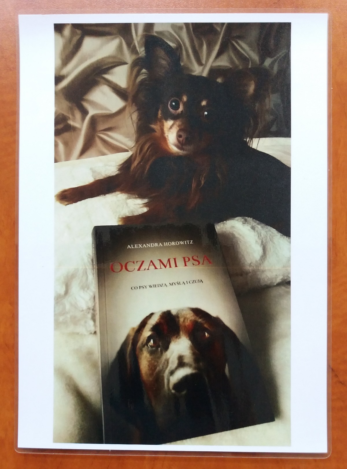 fotografia mojego ucznia - przykład zadania1