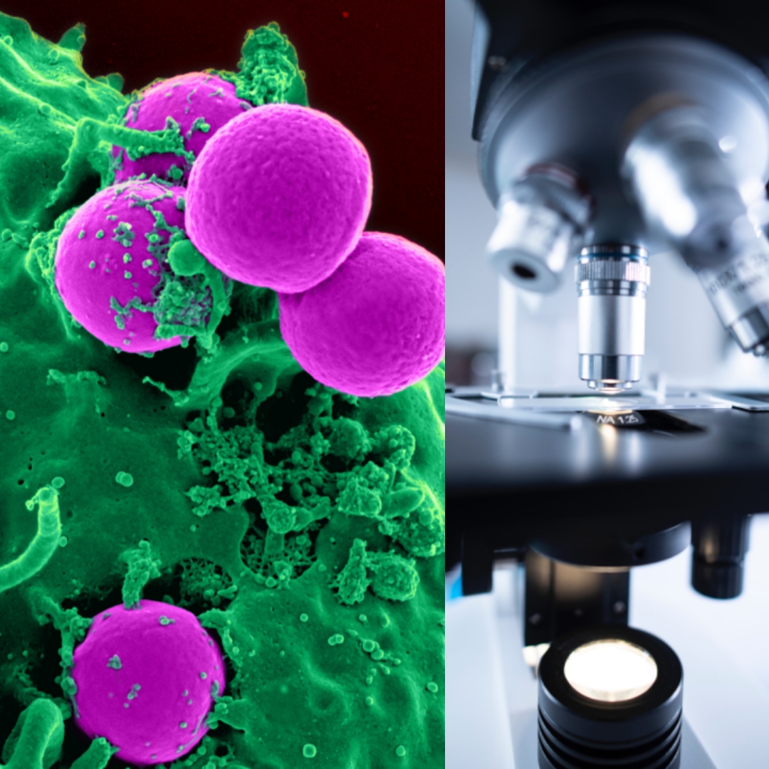 zdj.Konferencja zdj.Konferencja