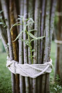 żywa architektura (10)