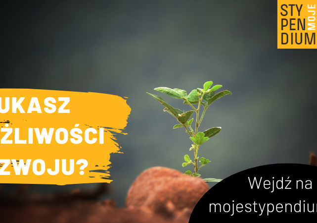 MojeStypendiuminfografika