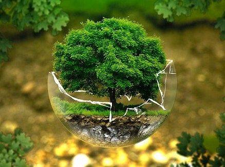 Webinarium „Edukacja na rzecz transformacji ekologicznej”