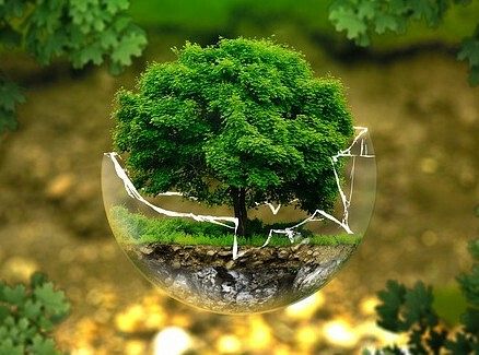 Webinarium „Edukacja na rzecz transformacji ekologicznej”