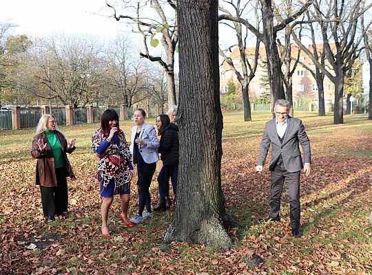 Światowy Dzień Adopcji