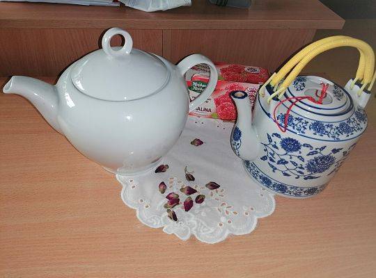 Warsztaty stacjonarne - Ciekawa ortografia