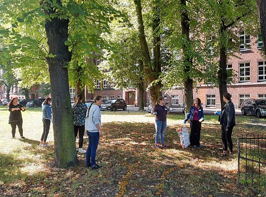 Labirynty, linie, sznurki - warsztaty artystyczne