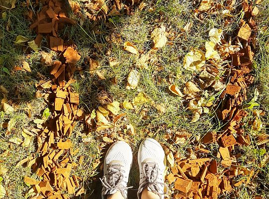 Labirynty, linie, sznurki - warsztaty artystyczne