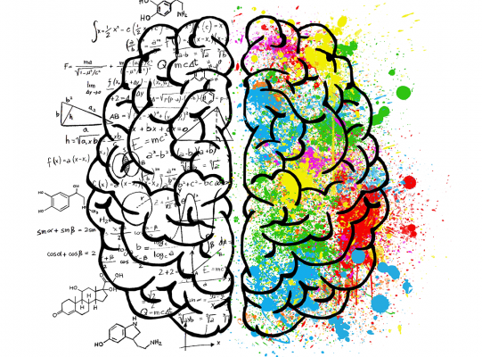 Chemia mózgu