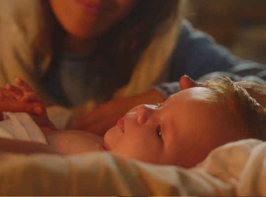 Sieć Nauczycieli Religii Szkół Ponadpodstawowych