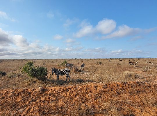 Webinar: Kenia, czego doświadczyłem 10.000 km od domu ?
