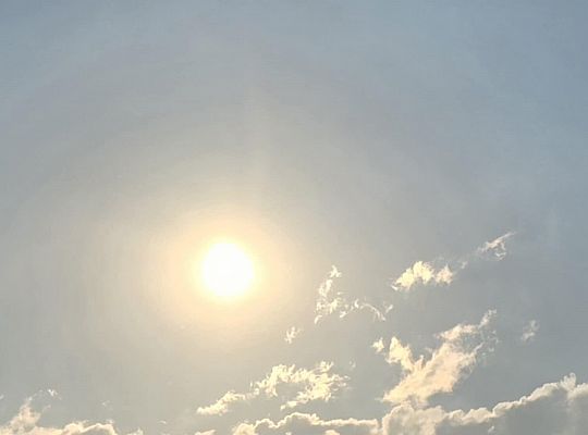 Webinar pt. LUX AETERNA