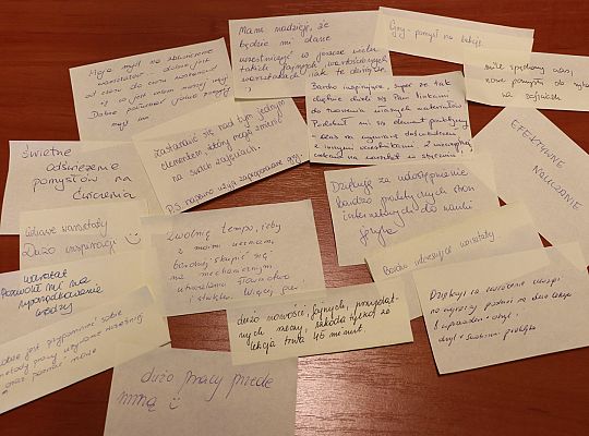 rezultaty warsztatów