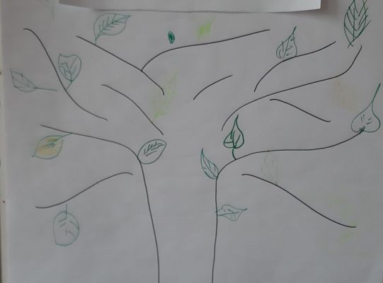 Ocenianie kształtujące na lekcjach języka obcego w szkole podstawowej (poziom podstawowy)