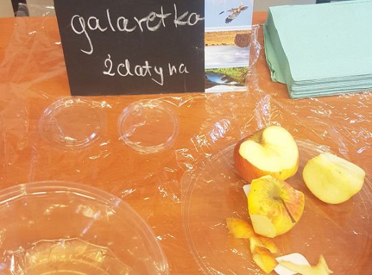 Doświadczenia na lekcji biologii w szkole podstawowej