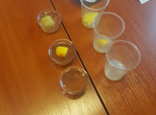 Doświadczenia na lekcji biologii w szkole podstawowej