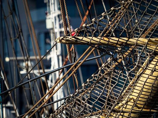 fot. Sylwia Ratajczyk